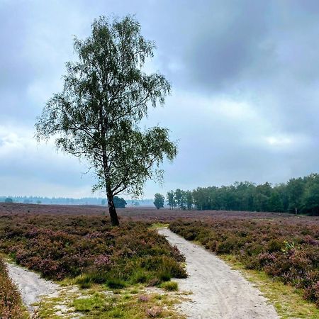 Huisje Aan De Bosrand - Veluwe Epe Exterior photo